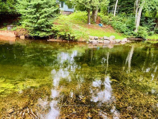 1097 Hawk Valley Road