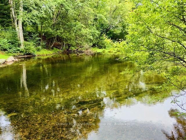 1097 Hawk Valley Road • Algonquin Highlands, ON photo 41