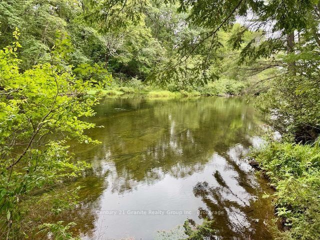 1097 Hawk Valley Road • Algonquin Highlands, ON photo 42