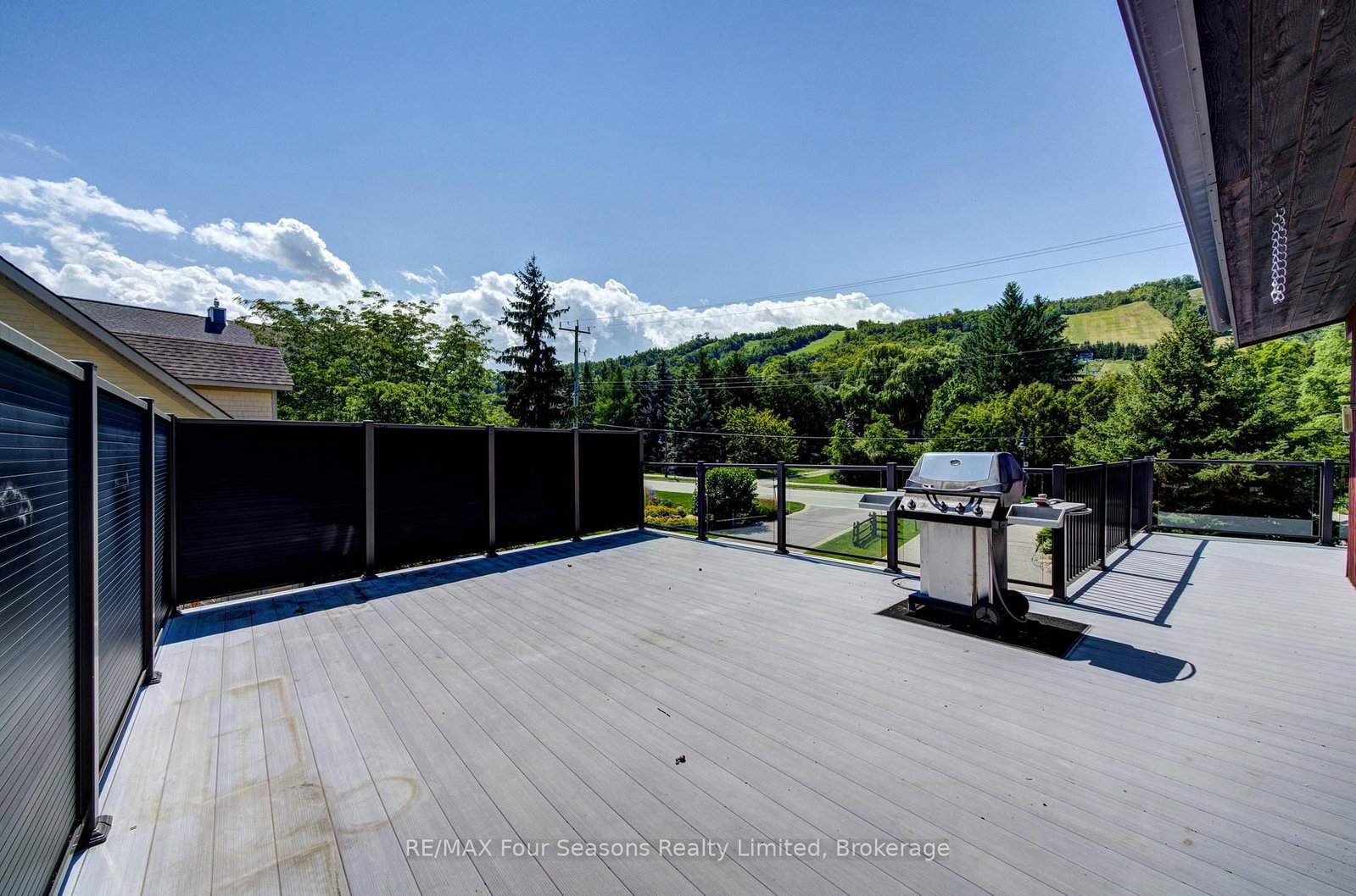 141 Jozo Weider Boulevard • Blue Mountains, ON photo 45