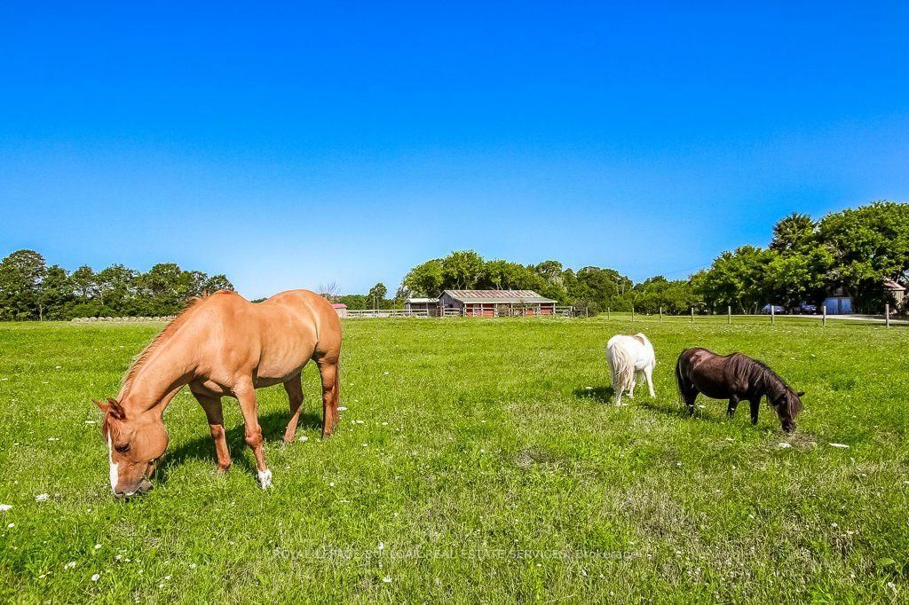 2108 Westbrook Road • Hamilton, ON photo 36