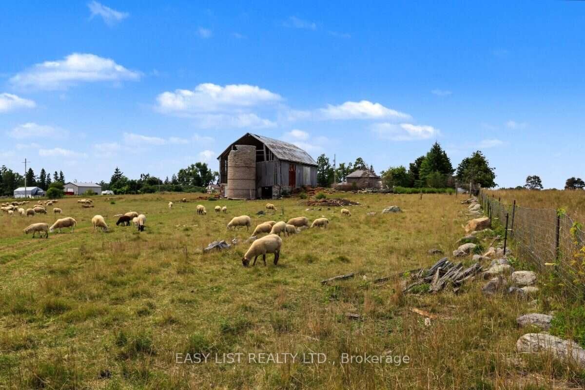 357 King's Wharf Road • Kawartha Lakes, ON photo 36