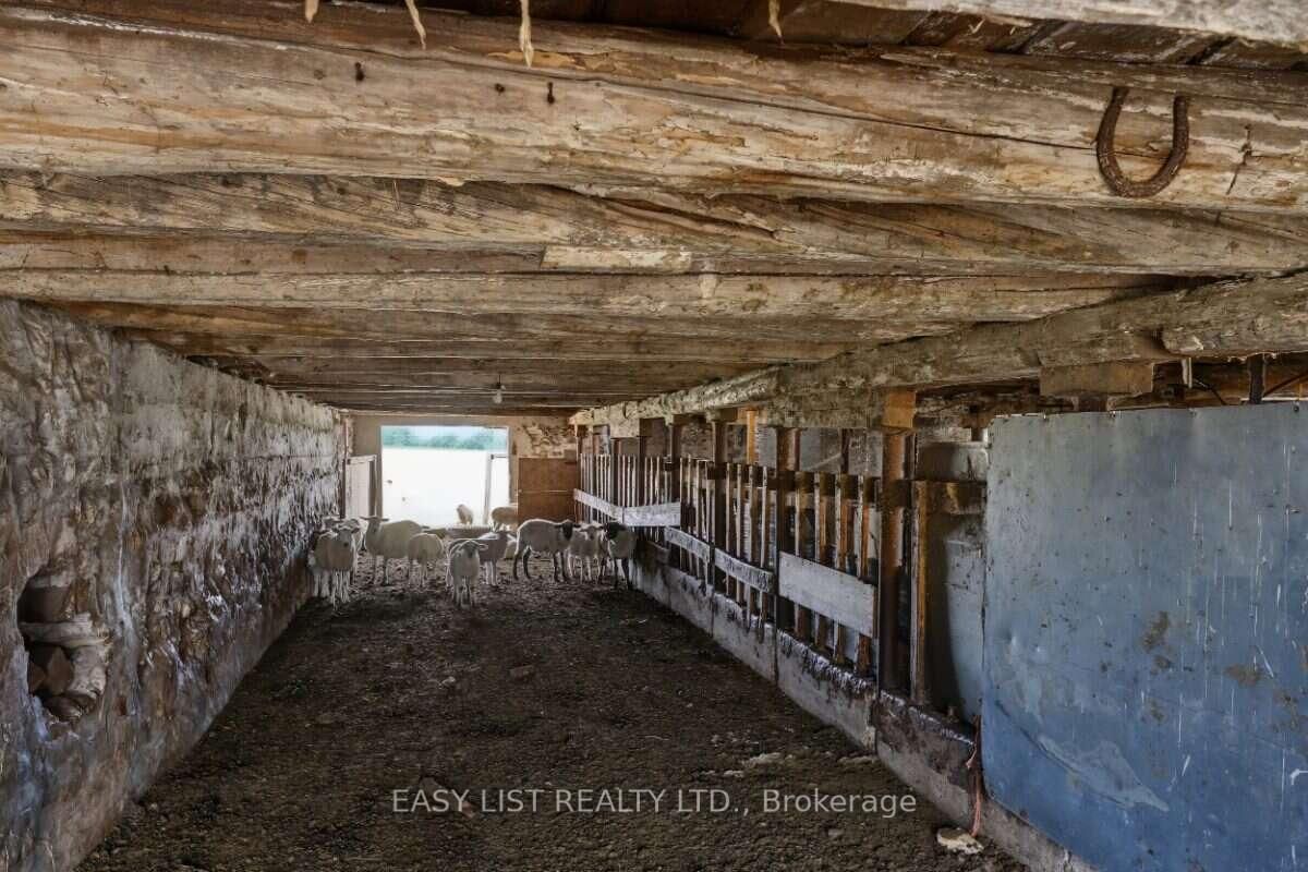 357 King's Wharf Road • Kawartha Lakes, ON photo 37