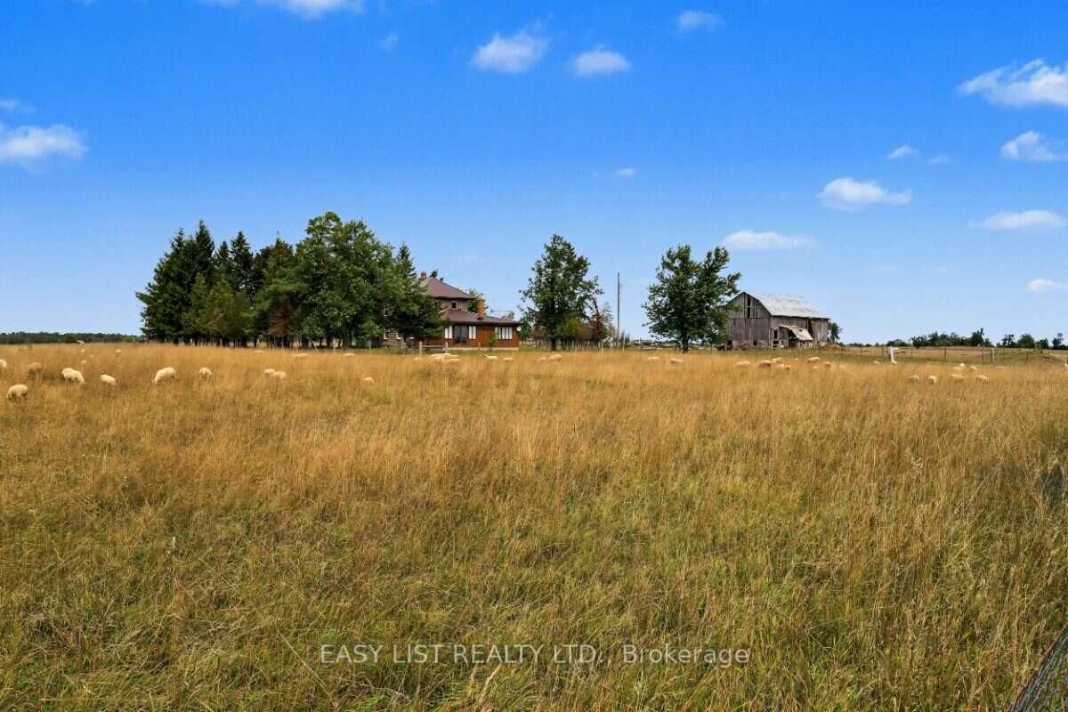 357 King's Wharf Road • Kawartha Lakes, ON photo 39