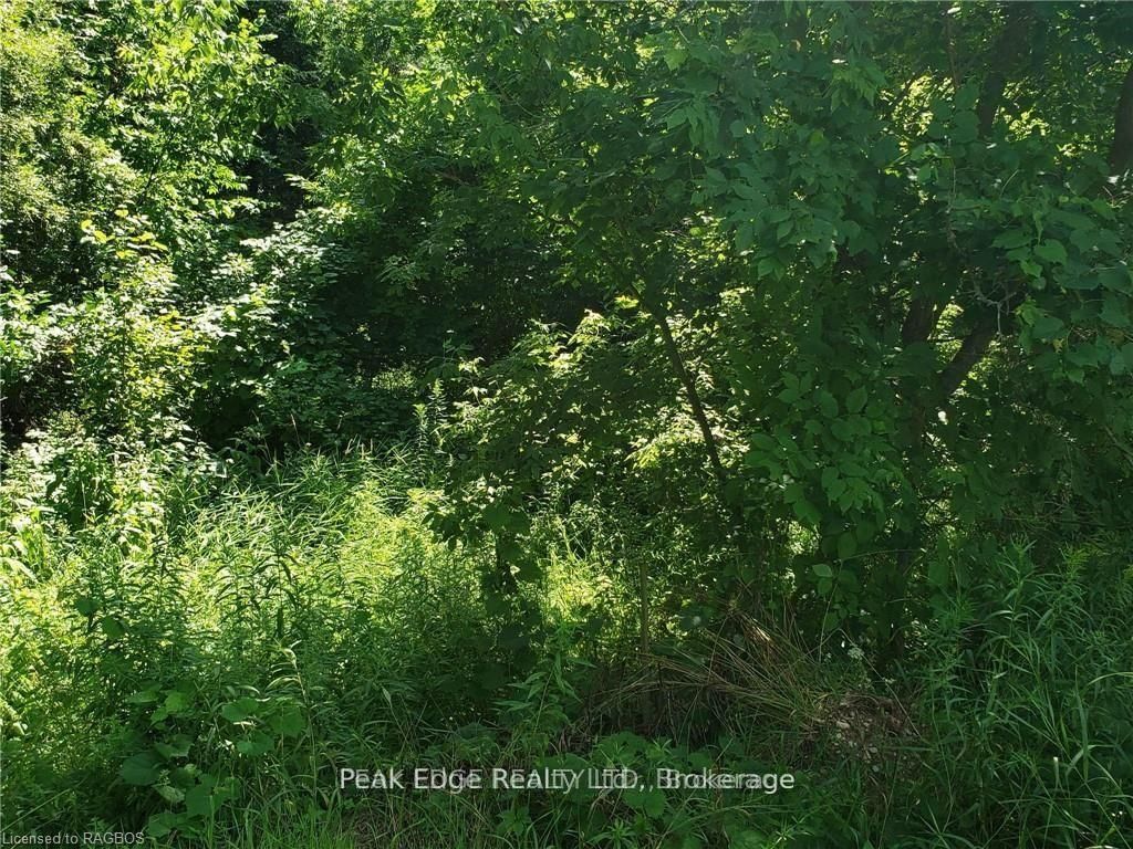 Part Lot 28 12 Concession S • Arran-Elderslie, ON photo 4