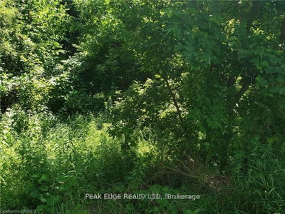 Part Lot 28 12 Concession S • Arran-Elderslie, ON photo 4