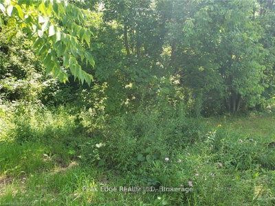 Part Lot 28 12 Concession S • Arran-Elderslie, ON photo 7
