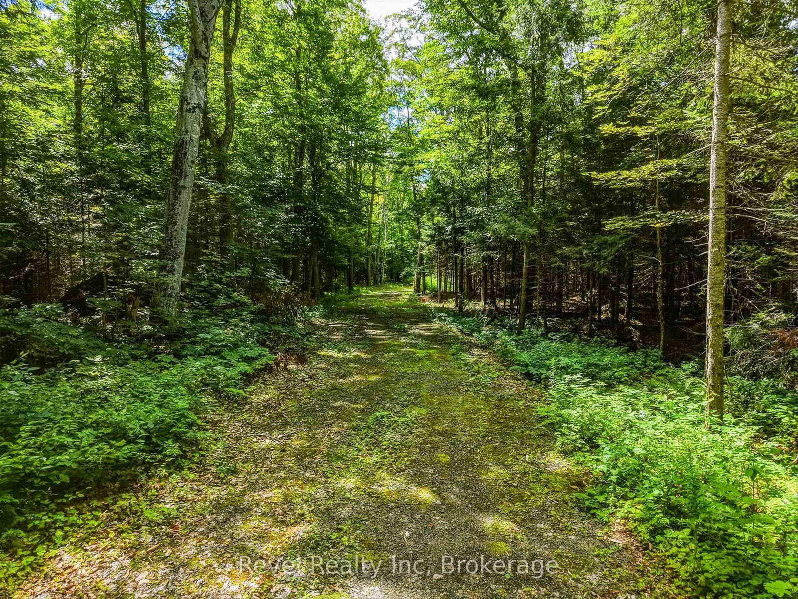 1054 Bird Lake Road • Bracebridge, ON photo 10