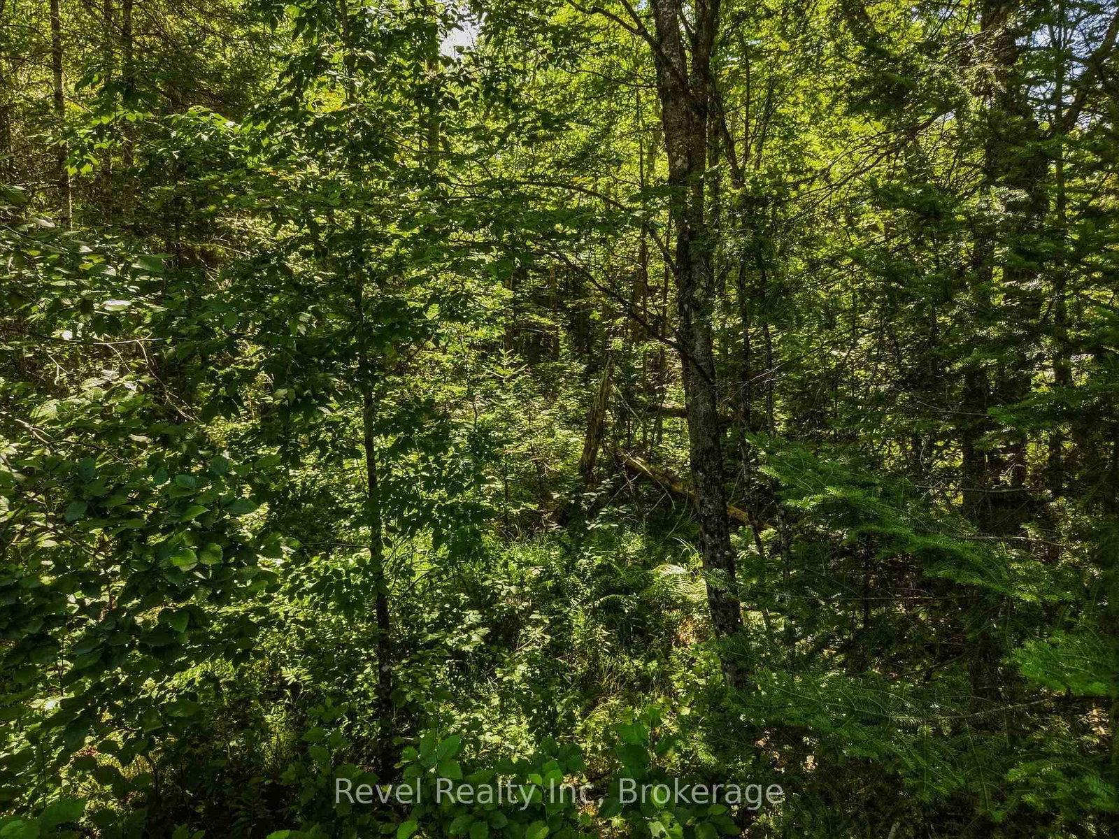 1054 Bird Lake Road • Bracebridge, ON photo 15