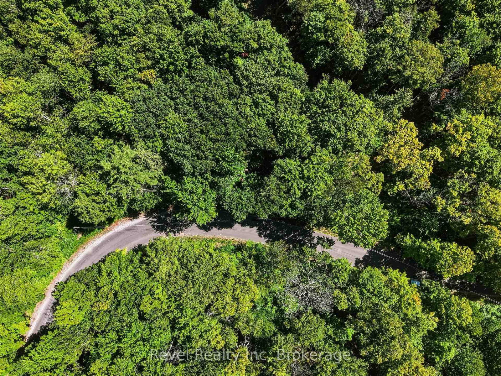 1054 Bird Lake Road • Bracebridge, ON photo 3