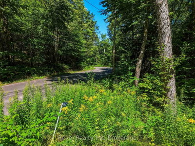 1054 Bird Lake Road • Bracebridge, ON photo 5