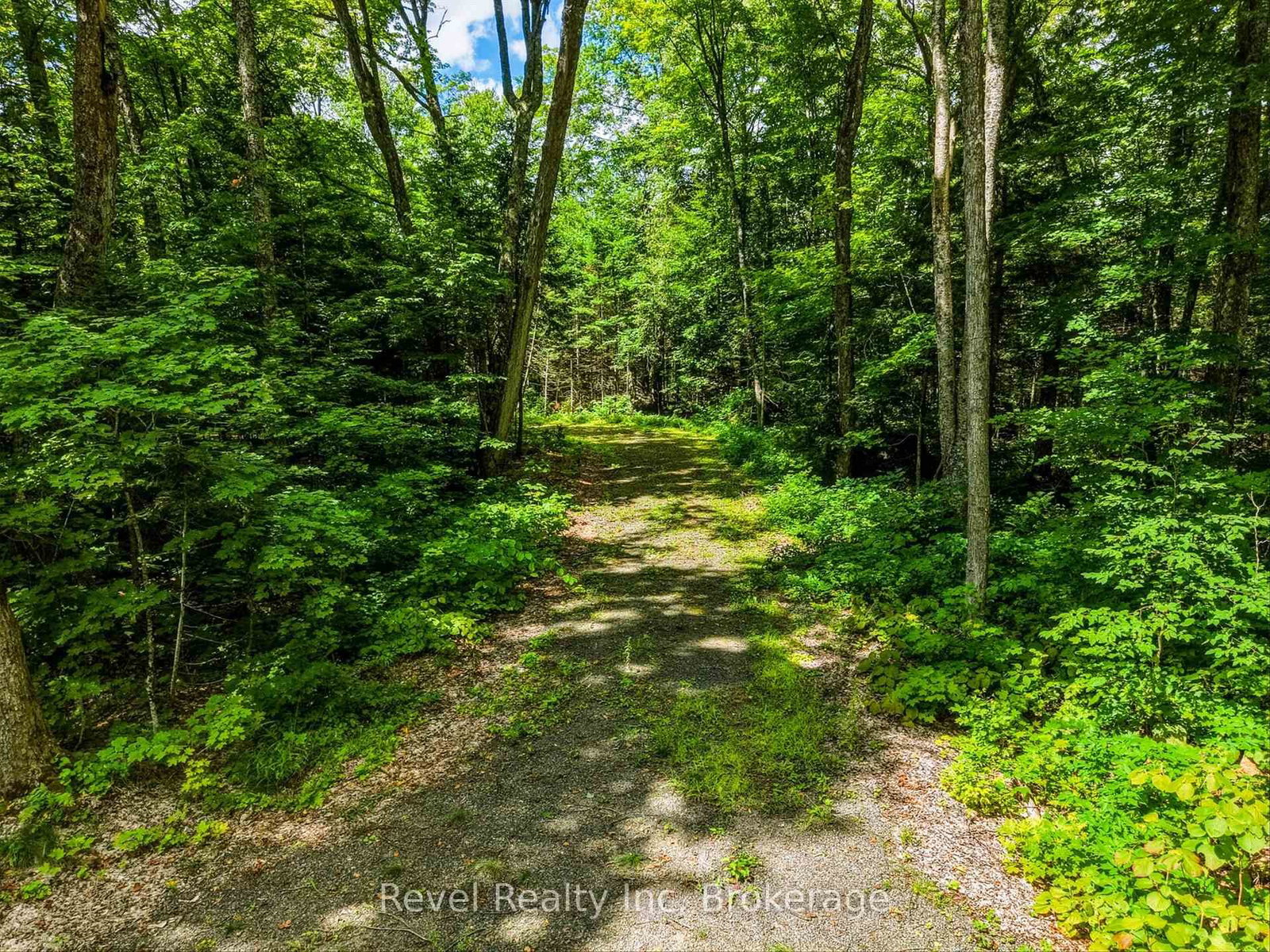 1054 Bird Lake Road • Bracebridge, ON photo 6