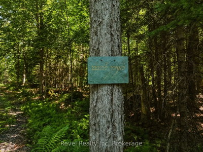 1054 Bird Lake Road • Bracebridge, ON photo 8