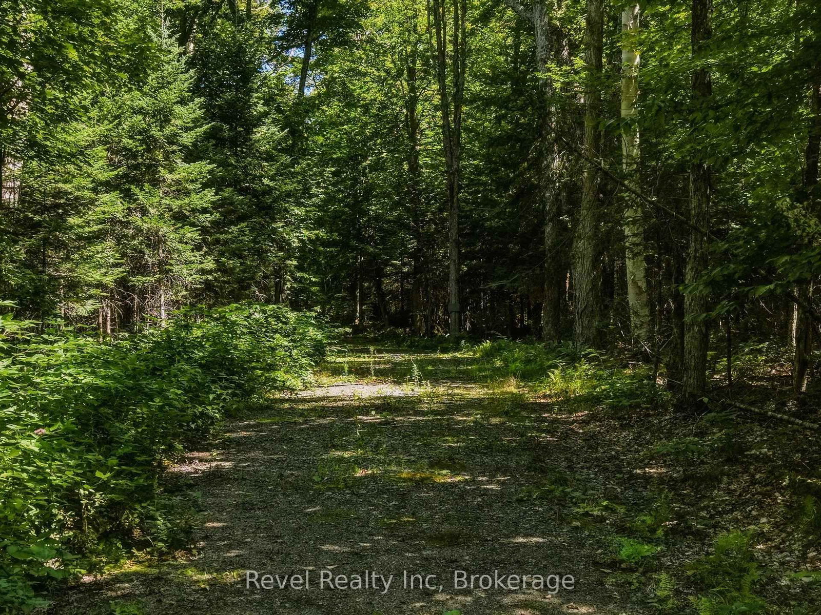 1054 Bird Lake Road • Bracebridge, ON photo 9