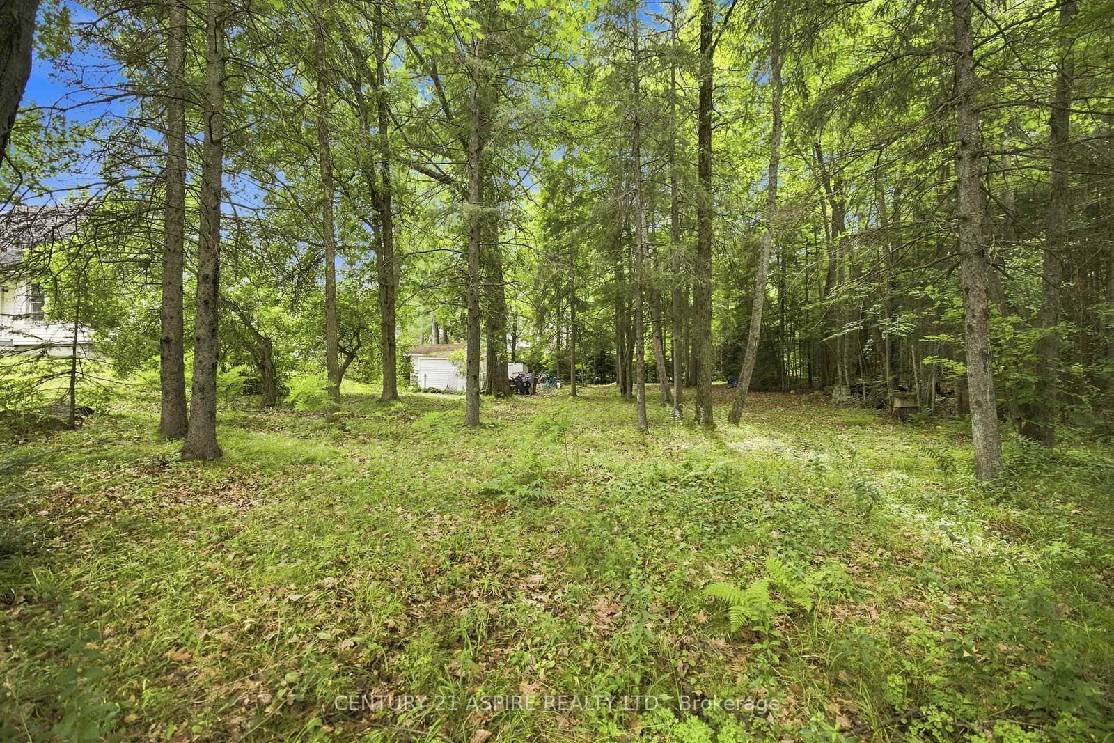 2583 B Line Road • Pembroke, ON photo 44
