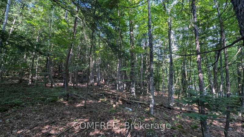 4853 Opeongo Road