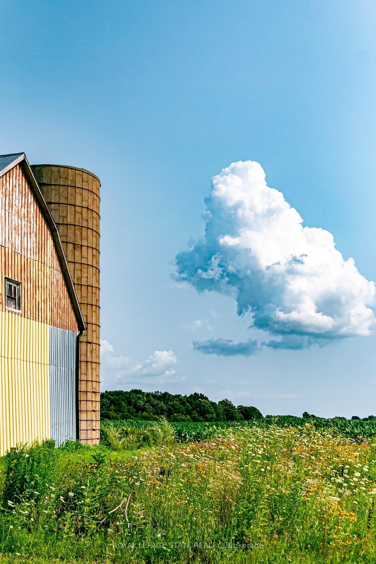 224 Concession 13 Road • Haldimand, ON photo 37