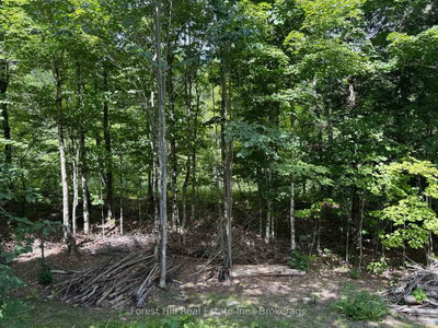 10415 522 Highway • Parry Sound Remote Area, ON photo 5