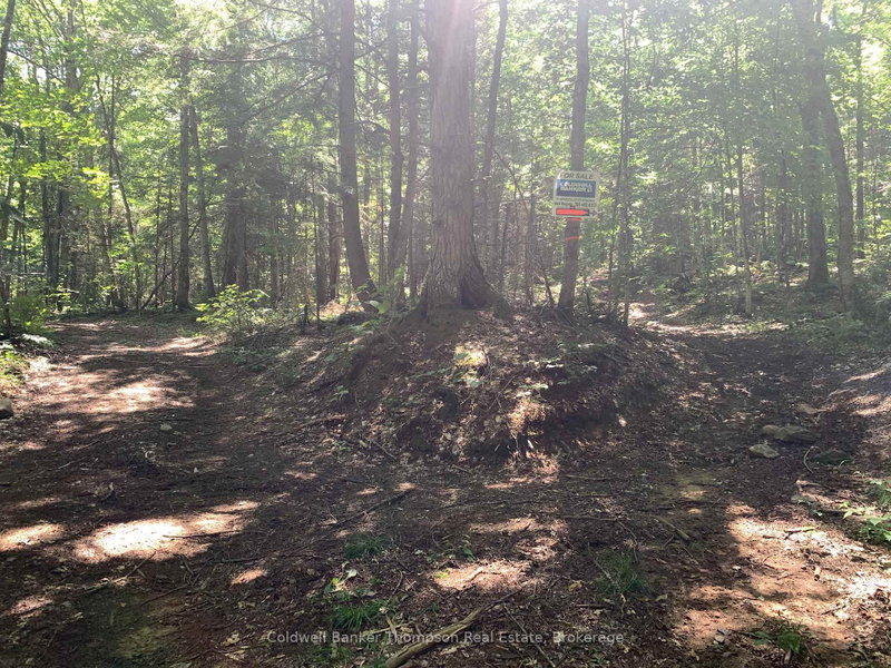 LOT 12 CON 2 n/a Trail