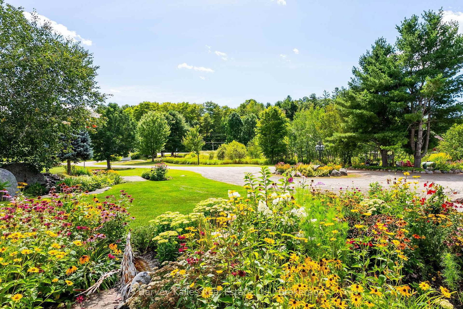 1003 Brandy Crest Road • Muskoka Lakes, ON photo 17