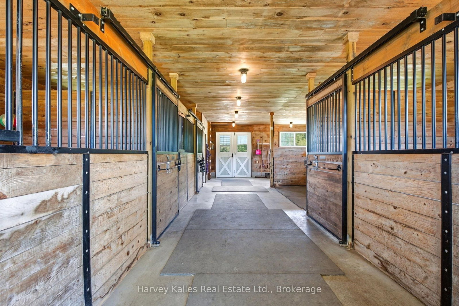 1003 Brandy Crest Road • Muskoka Lakes, ON photo 38