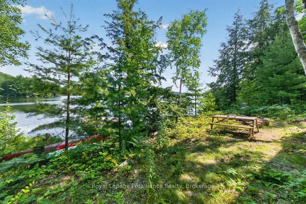 3310 Shabomeka Lake • Cloyne, ON photo 42