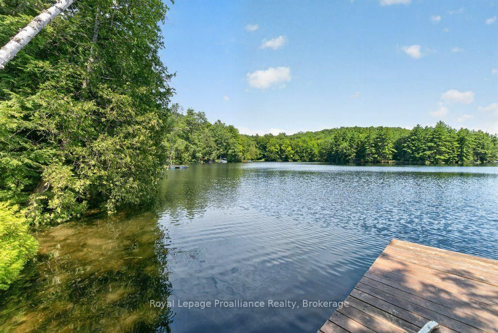 3310 Shabomeka Lake • Cloyne, ON photo 47