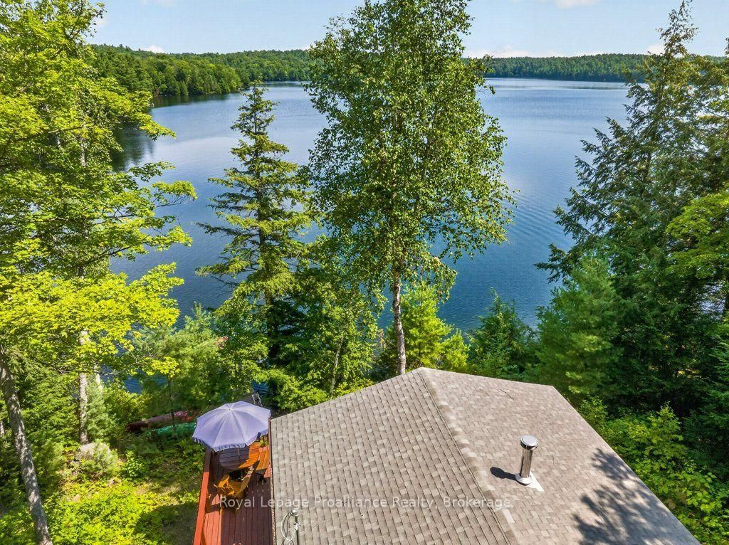 3310 Shabomeka Lake • Cloyne, ON photo 8