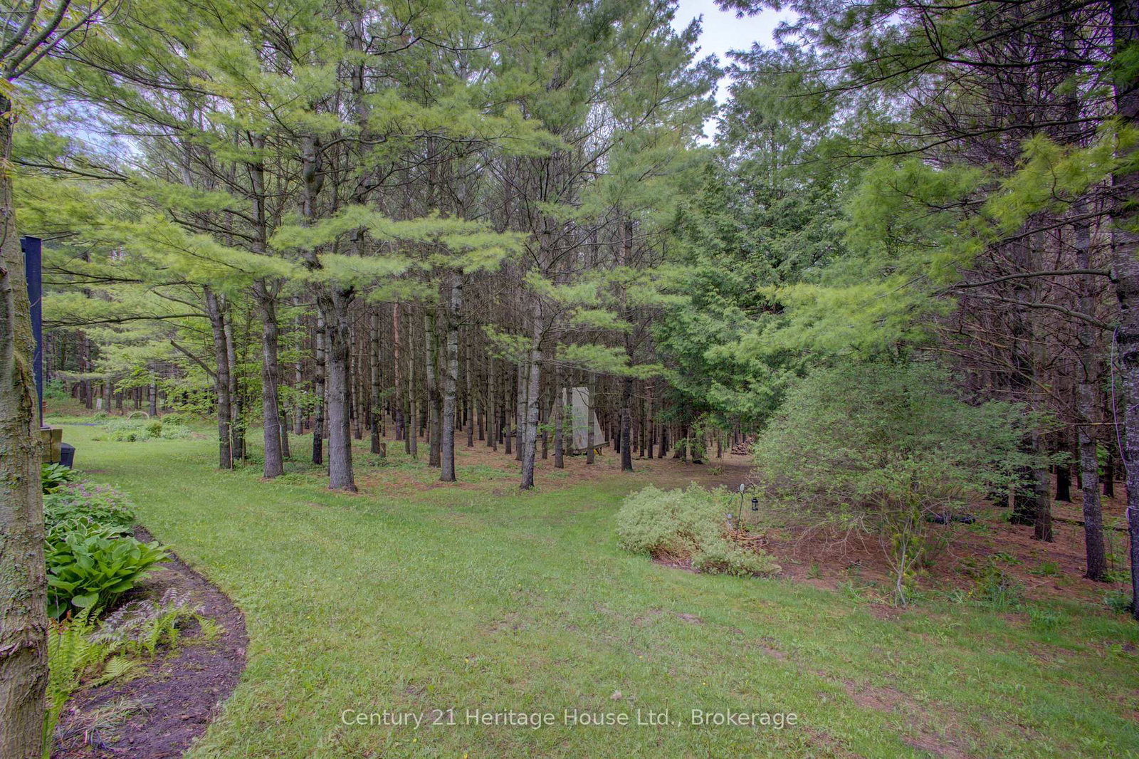 262845 Varney Road • West Grey, ON photo 35