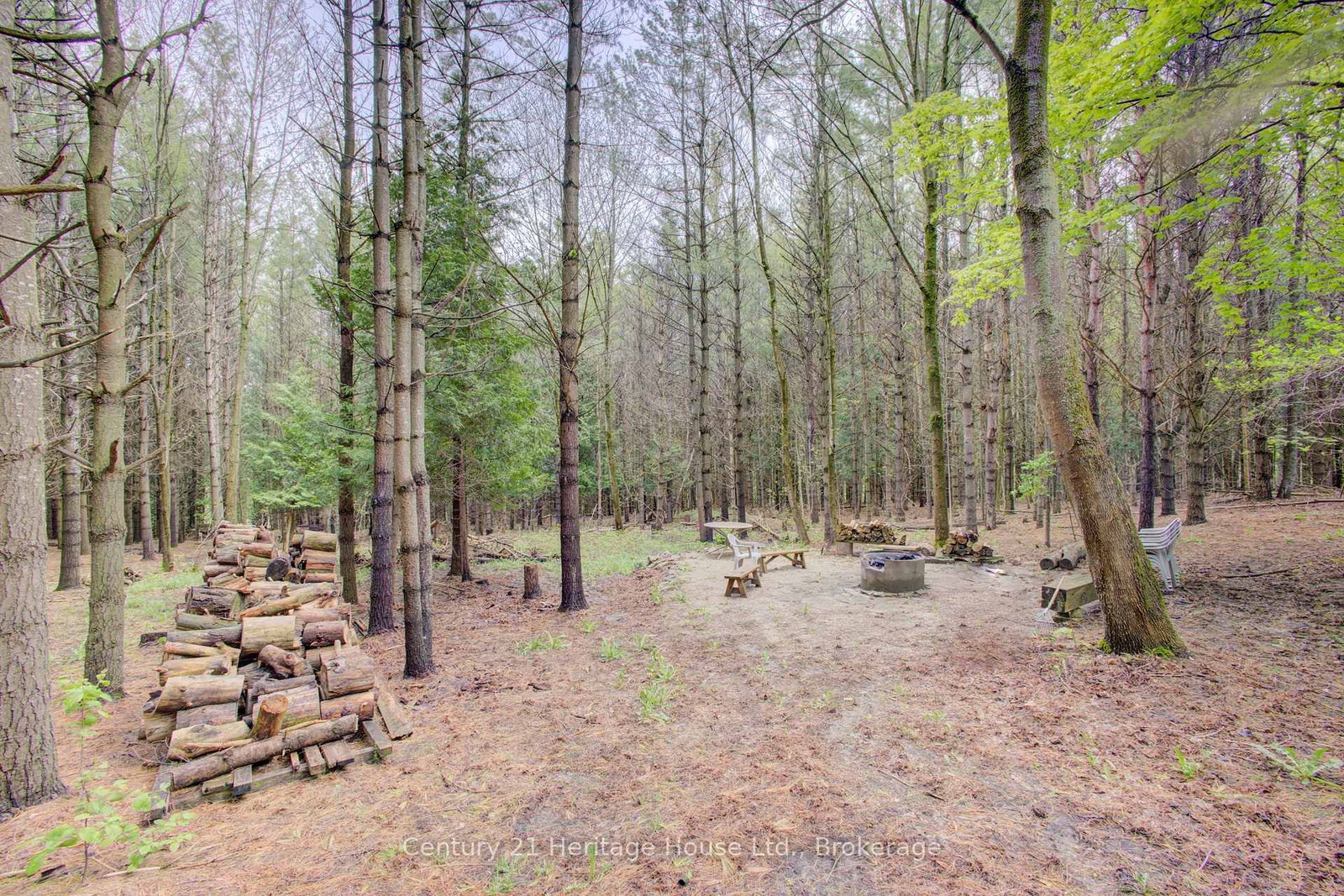 262845 Varney Road • West Grey, ON photo 39