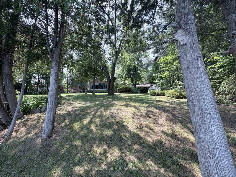 60 Pinewood Boulevard