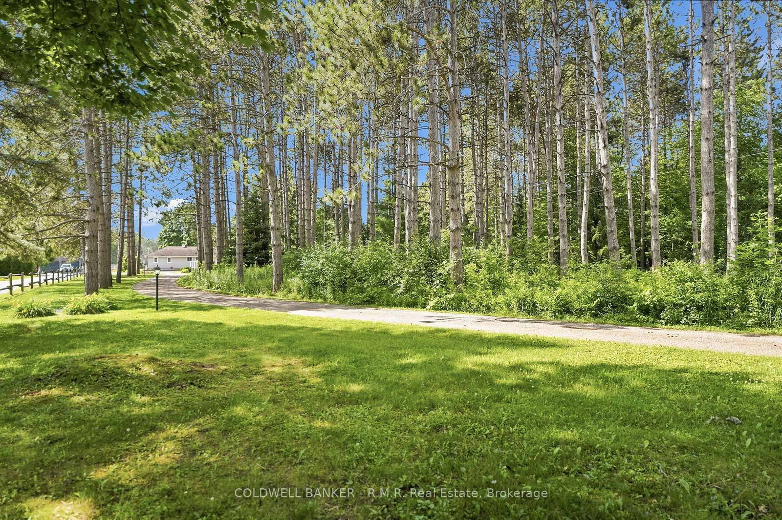 33 Portage Road • Kawartha Lakes, ON photo 41