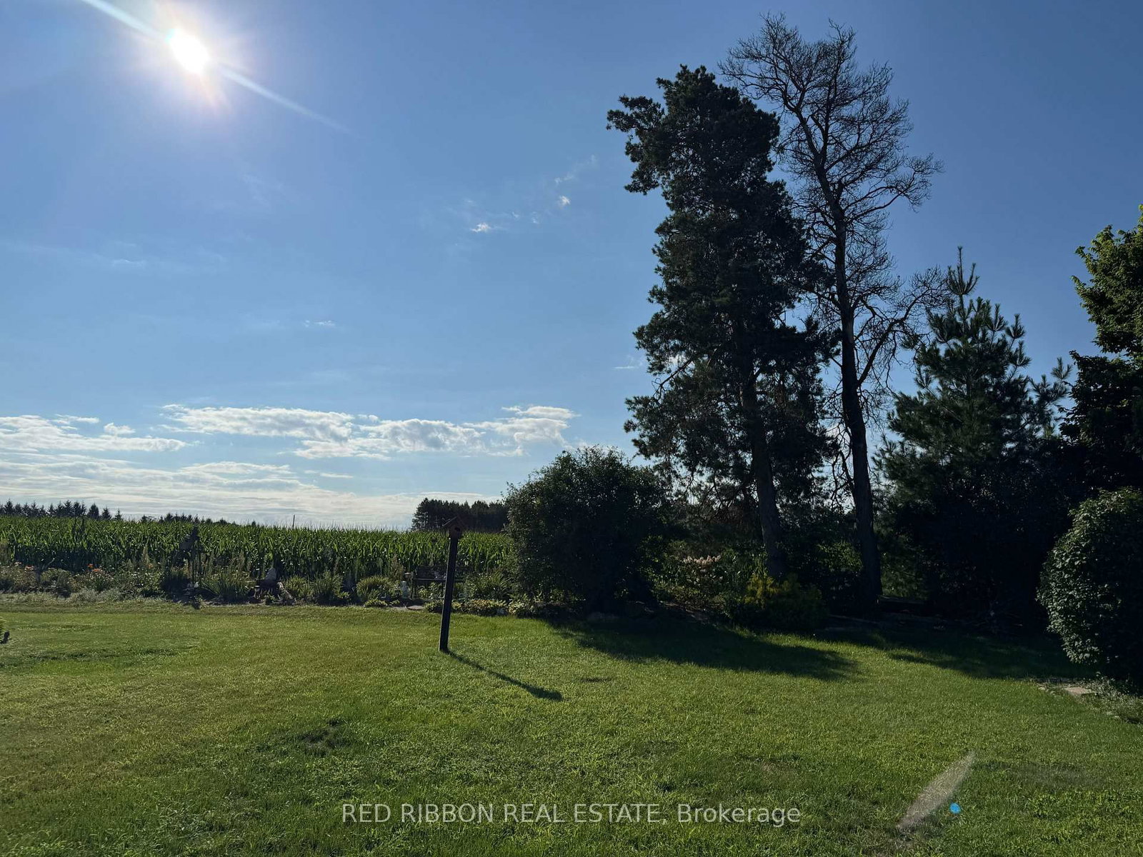 16 Velma Street • Strathroy-Caradoc, ON photo 36