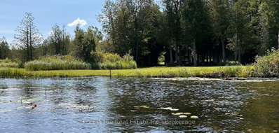 523583 12 Concession • West Grey, ON photo 7