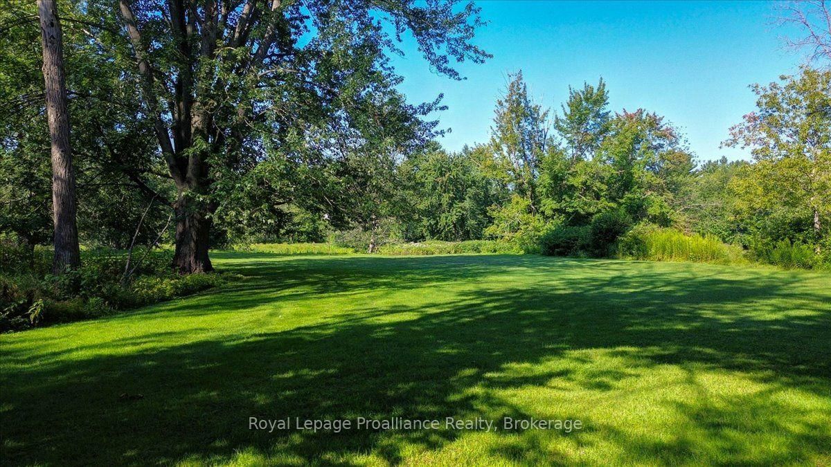 87 Cameron Street • Limoges, ON photo 38