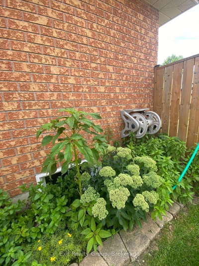 60 Oak Ridge Boulevard • Belleville, ON photo 5