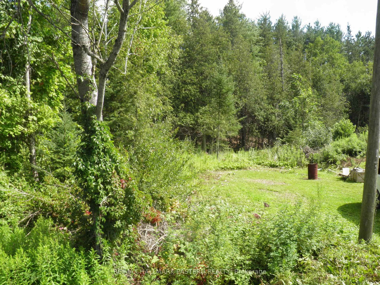 318 & 321 Caves Road • Douro-Dummer, ON photo 27