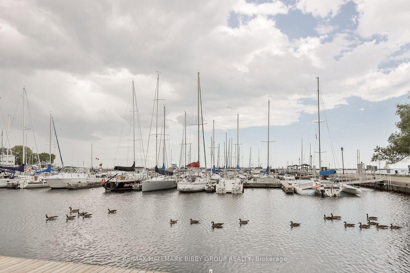145 Third Street • #411 • Cobourg, ON photo 47