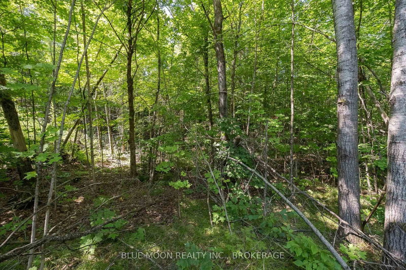 1531 Myers Cave Road
