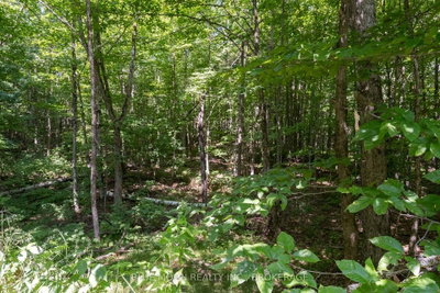 1531 Myers Cave Road • Arden, ON photo 4