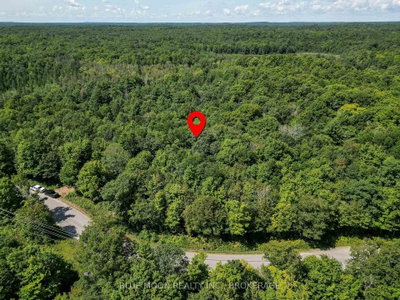 1531 Myers Cave Road • Arden, ON photo 5