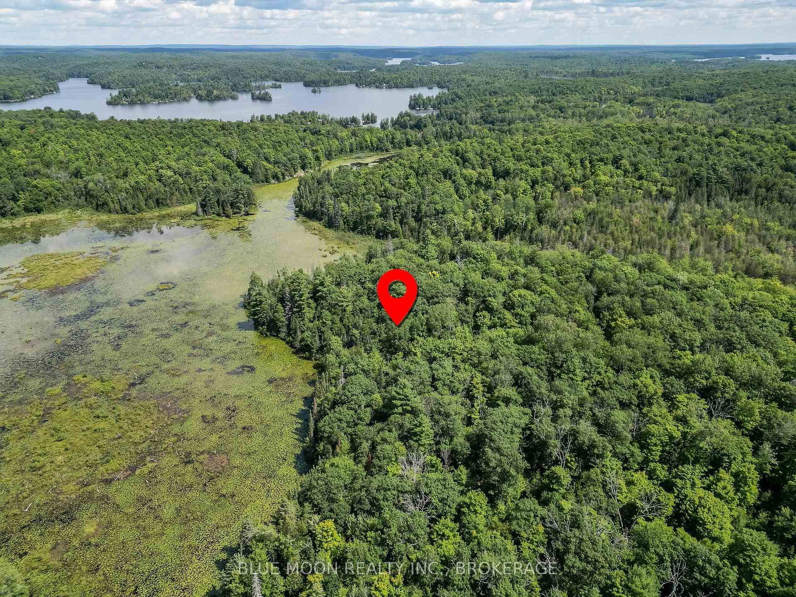1531 Myers Cave Road • Arden, ON photo 6