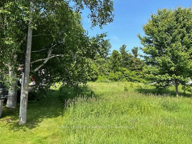 0 County Rd 12 Road • North Stormont, ON photo 5