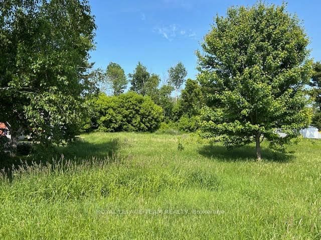 0 County Rd 12 Road • North Stormont, ON photo 6
