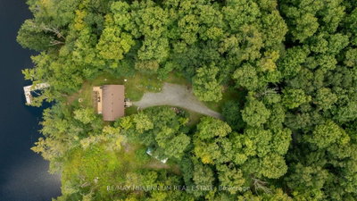 29 Yellow Birch Road • Georgian Bay, ON photo 4
