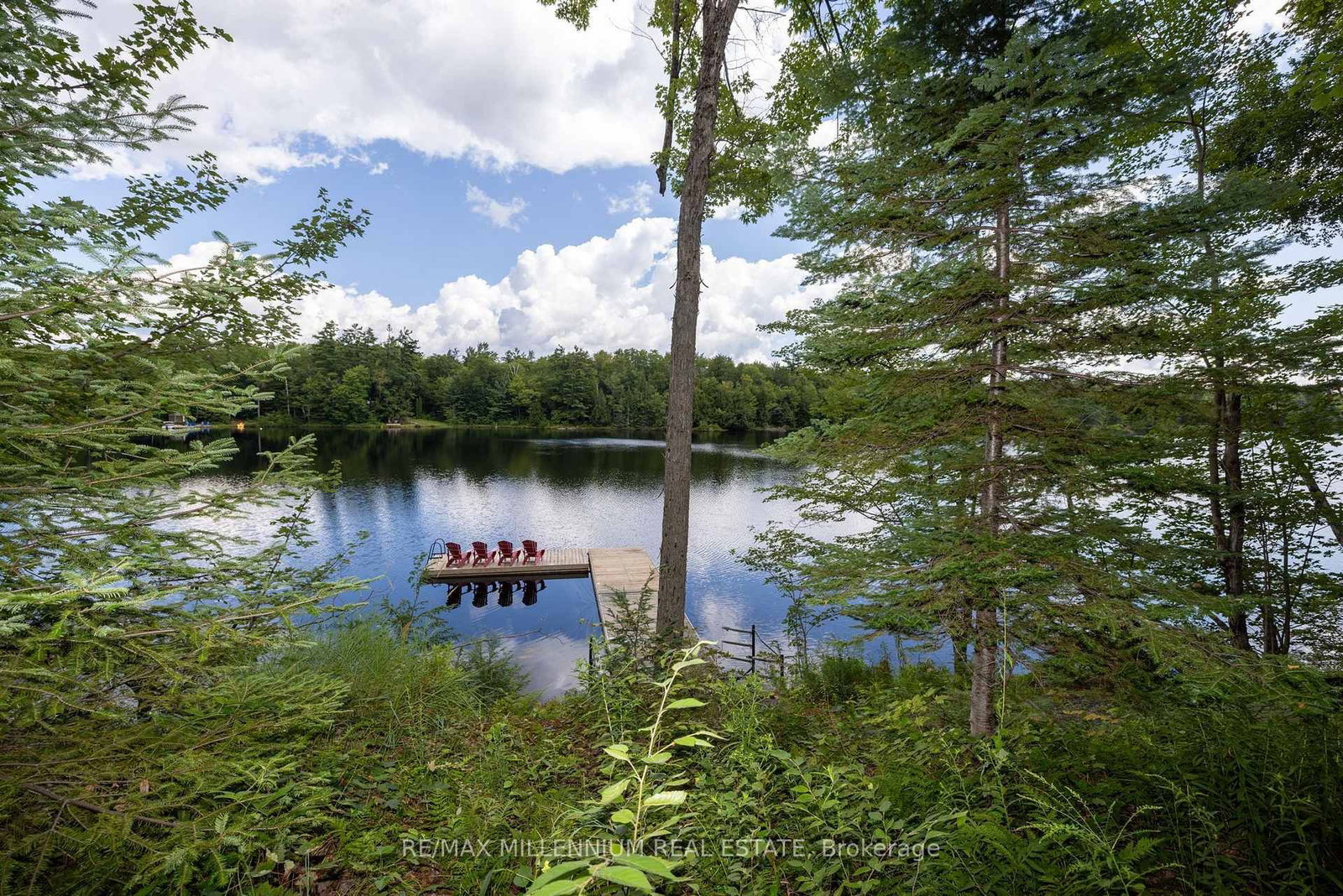 29 Yellow Birch Road • Georgian Bay, ON photo 41