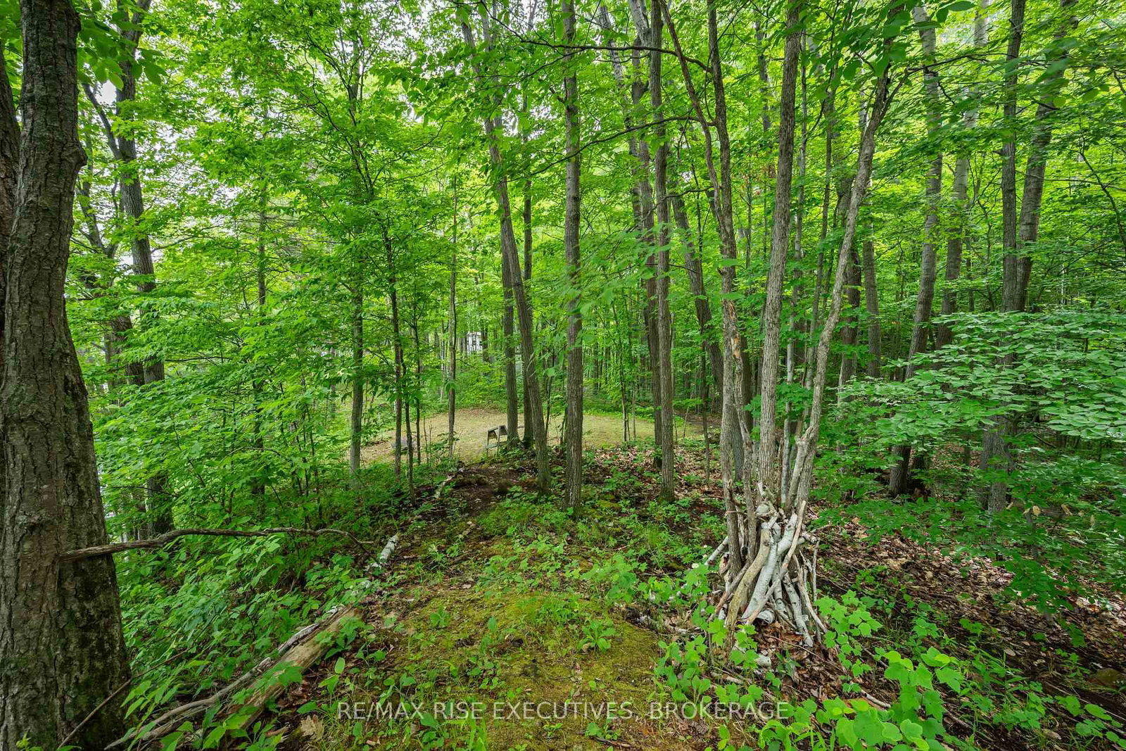 2120 Charlie Green Road • Perth Road, ON photo 29
