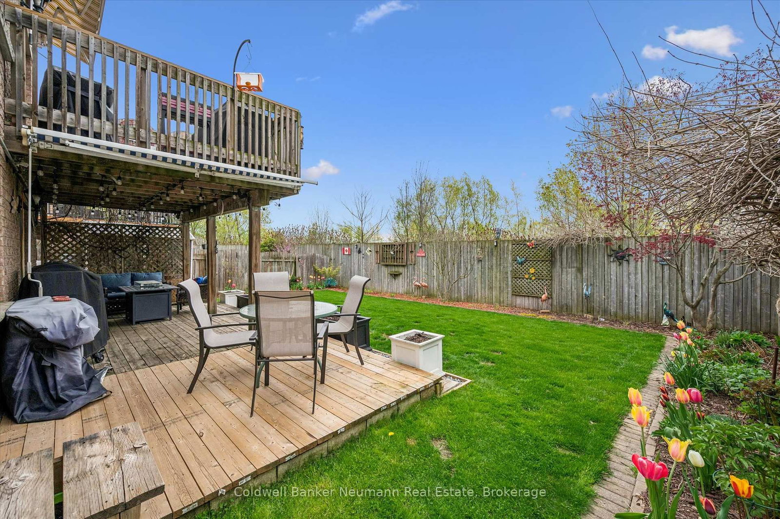 67 Cedarvale Avenue • Guelph, ON photo 32