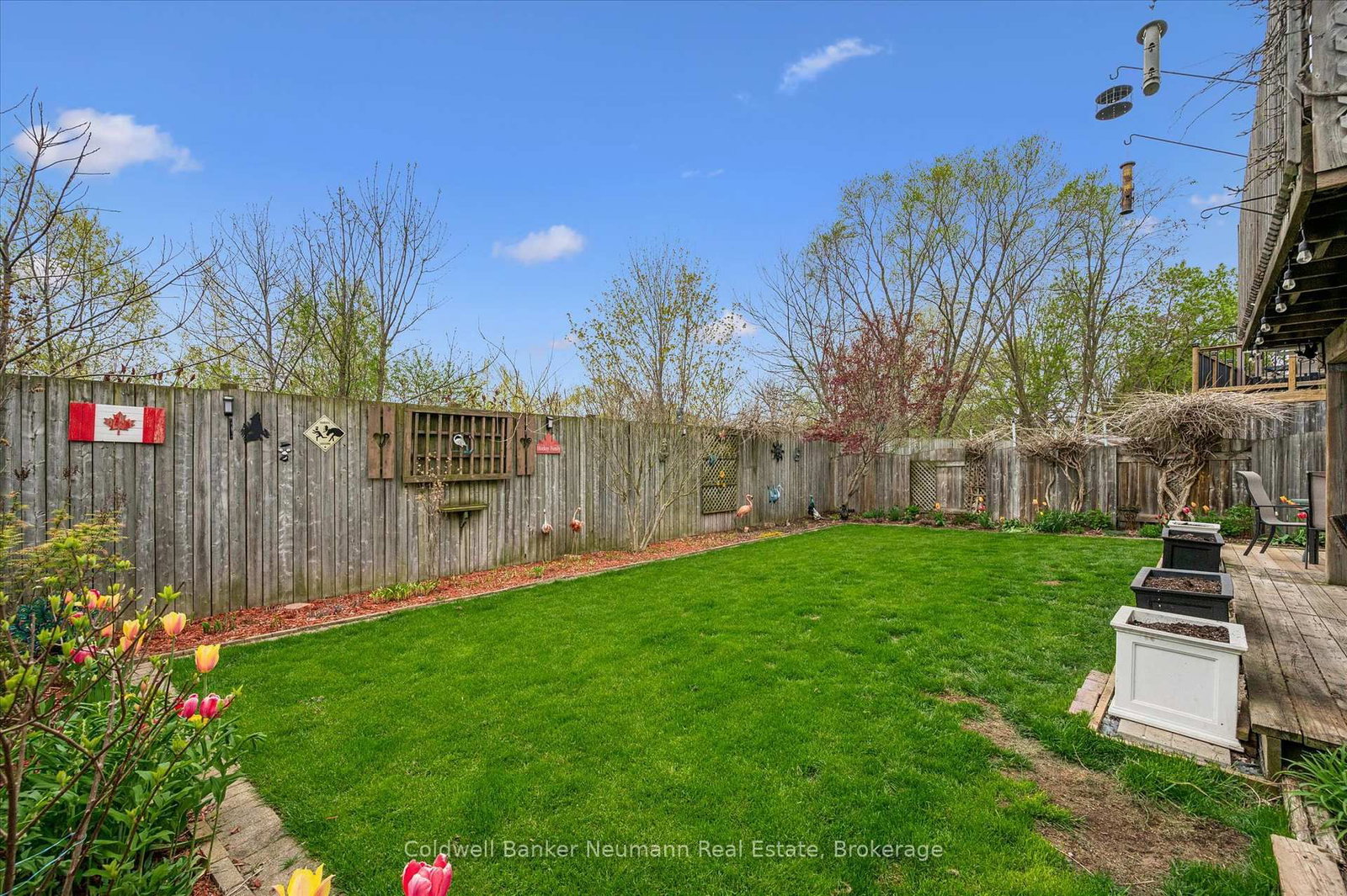 67 Cedarvale Avenue • Guelph, ON photo 34