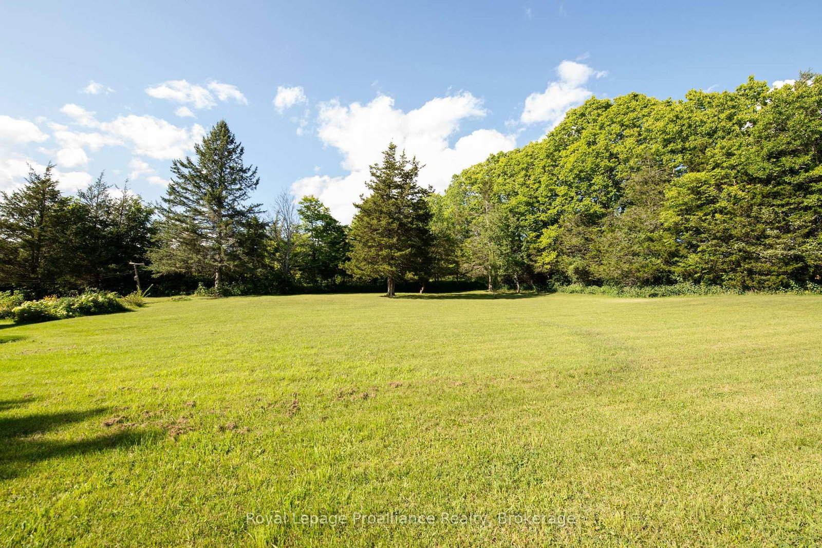47 Shannon Road • Belleville, ON photo 18